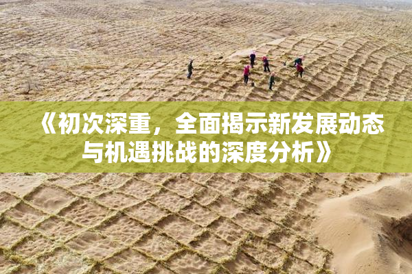 《初次深重，全面揭示新发展动态与机遇挑战的深度分析》