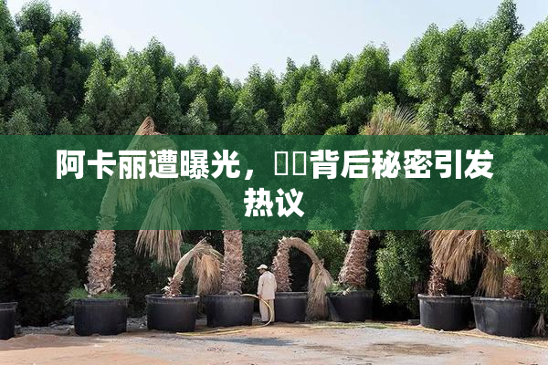 阿卡丽遭曝光，❌‌背后秘密引发热议