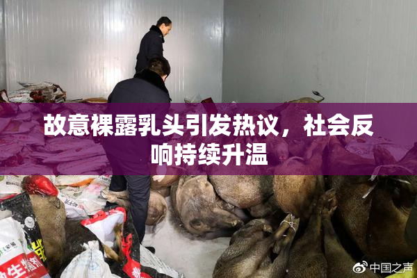 故意裸露乳头引发热议，社会反响持续升温