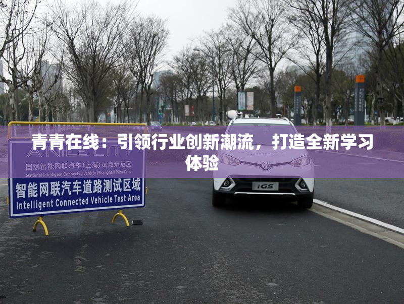 青青在线：引领行业创新潮流，打造全新学习体验
