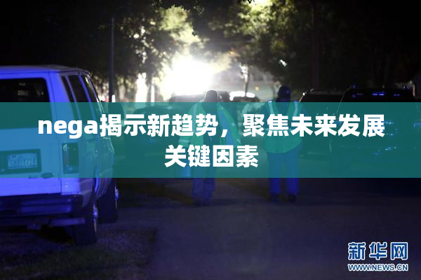 nega揭示新趋势，聚焦未来发展关键因素