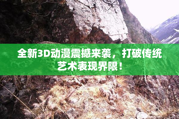 全新3D动漫震撼来袭，打破传统艺术表现界限！