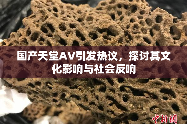 国产天堂AV引发热议，探讨其文化影响与社会反响