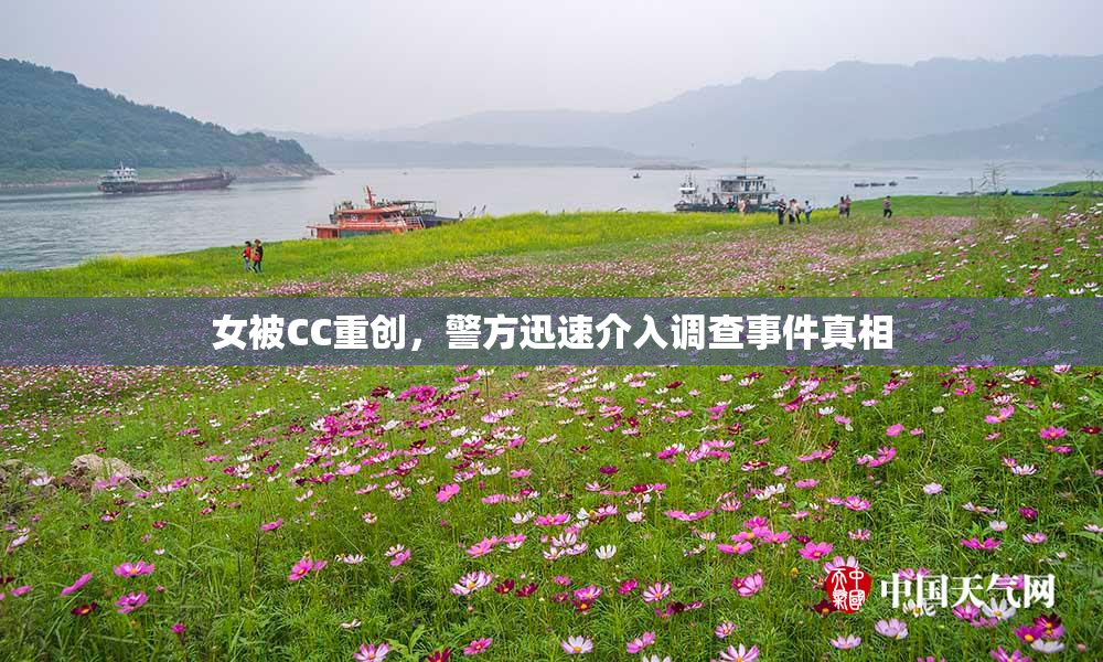 女被CC重创，警方迅速介入调查事件真相