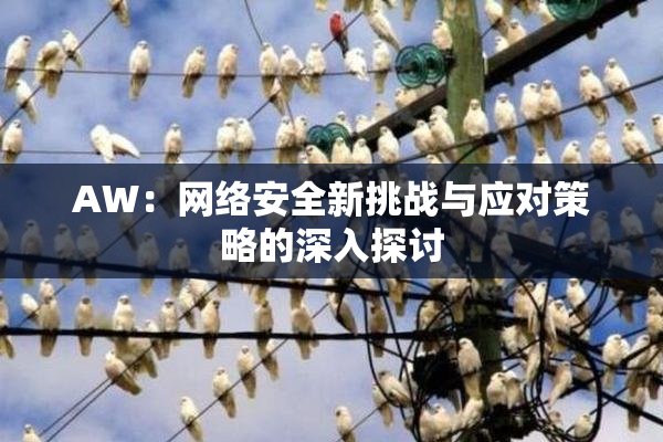AW：网络安全新挑战与应对策略的深入探讨