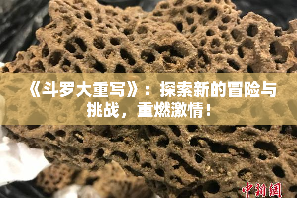 《斗罗大重写》：探索新的冒险与挑战，重燃激情！