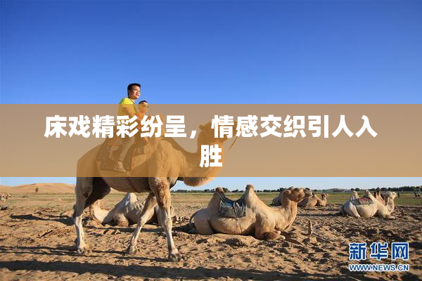 床戏精彩纷呈，情感交织引人入胜