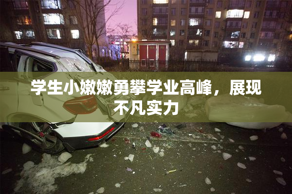 学生小嫩嫩勇攀学业高峰，展现不凡实力