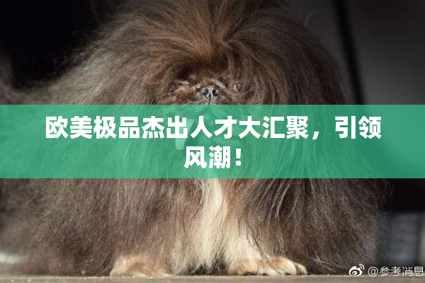 欧美极品杰出人才大汇聚，引领风潮！