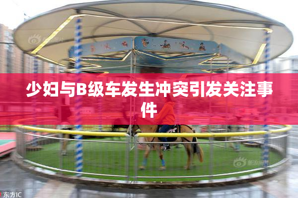 少妇与B级车发生冲突引发关注事件