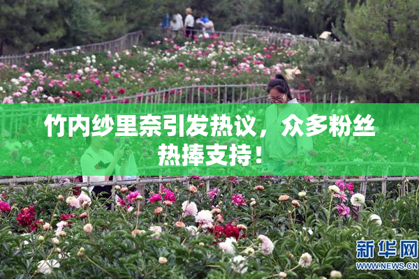 竹内纱里奈引发热议，众多粉丝热捧支持！