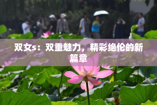 双女s：双重魅力，精彩绝伦的新篇章