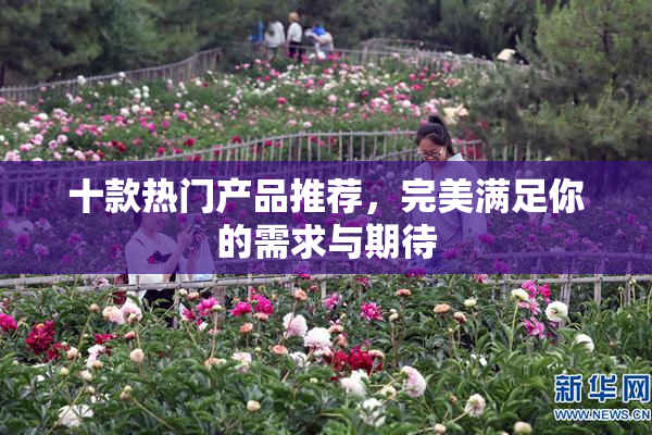 十款热门产品推荐，完美满足你的需求与期待