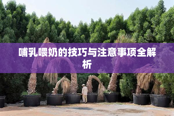 哺乳喂奶的技巧与注意事项全解析
