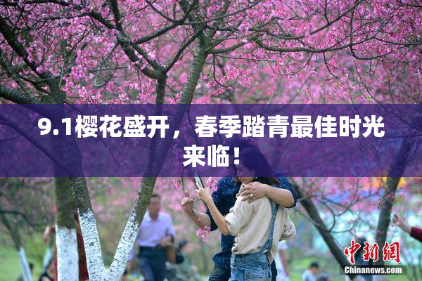 9.1樱花盛开，春季踏青最佳时光来临！