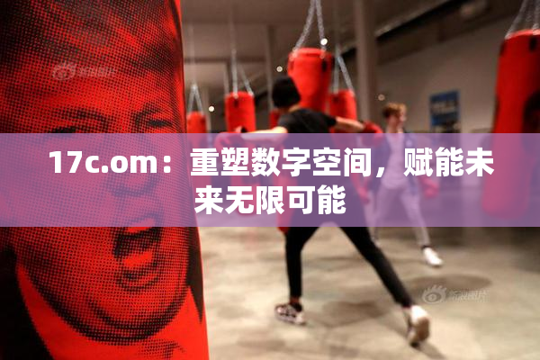 17c.om：重塑数字空间，赋能未来无限可能