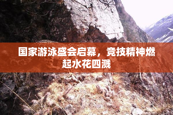 国家游泳盛会启幕，竞技精神燃起水花四溅