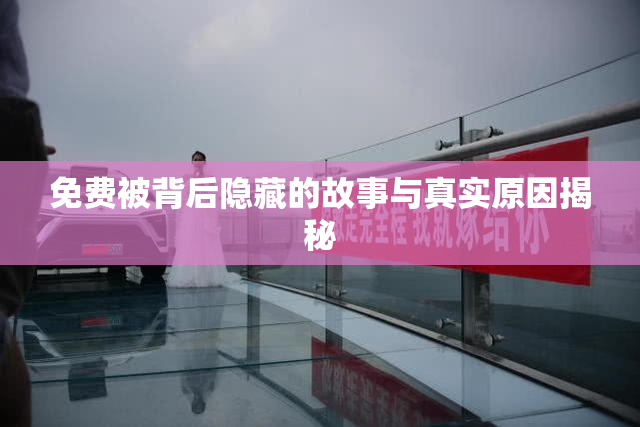免费被背后隐藏的故事与真实原因揭秘