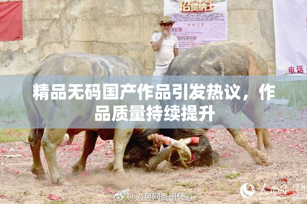 精品无码国产作品引发热议，作品质量持续提升