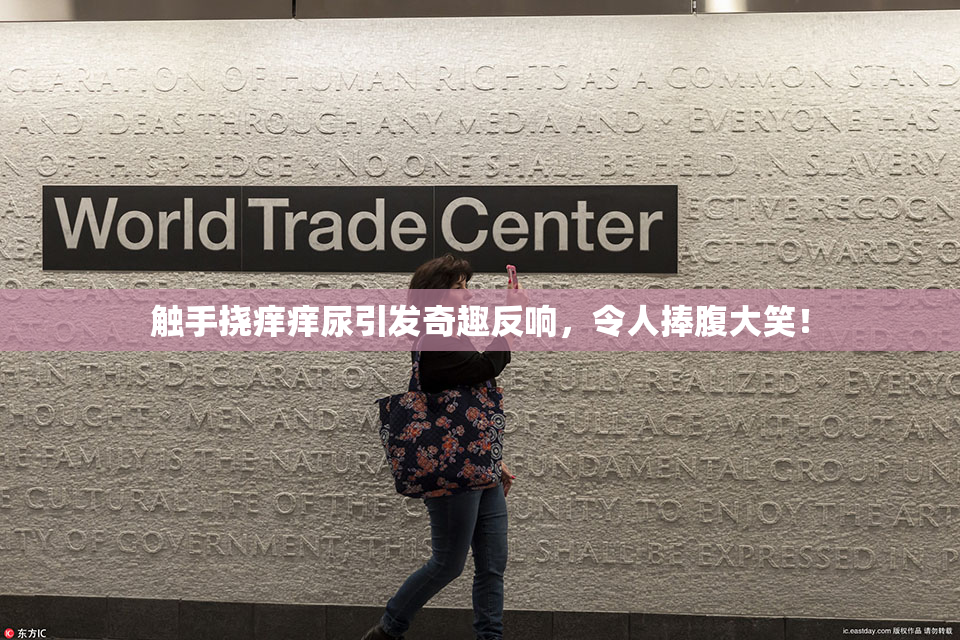 触手挠痒痒尿引发奇趣反响，令人捧腹大笑！