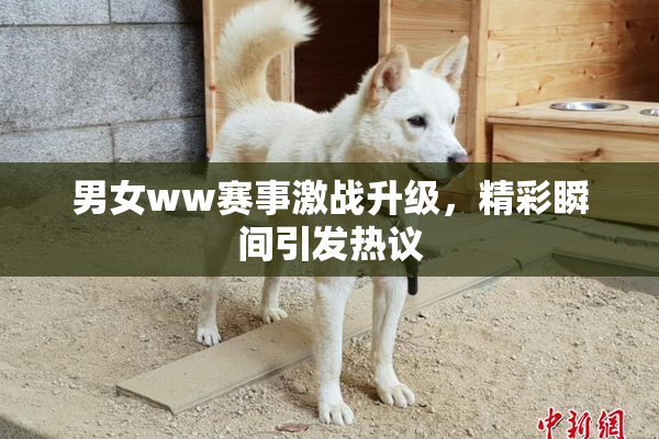 男女ww赛事激战升级，精彩瞬间引发热议