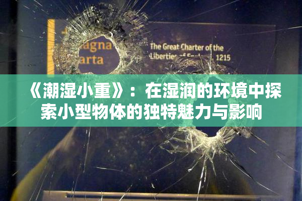 《潮湿小重》：在湿润的环境中探索小型物体的独特魅力与影响