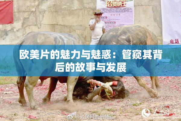 欧美片的魅力与魅惑：管窥其背后的故事与发展