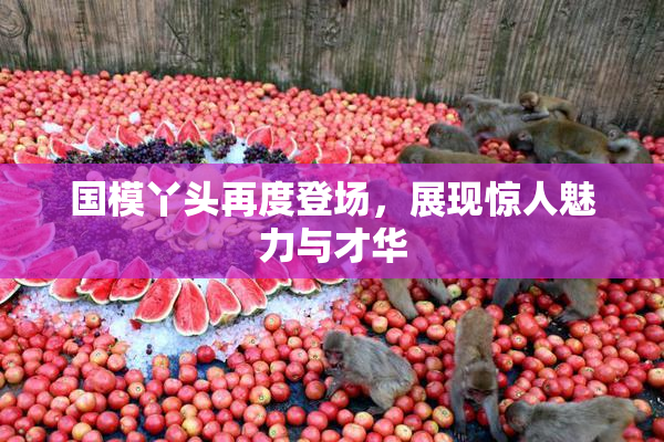 国模丫头再度登场，展现惊人魅力与才华