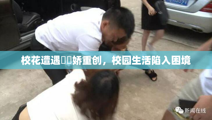 校花遭遇❌‌娇重创，校园生活陷入困境