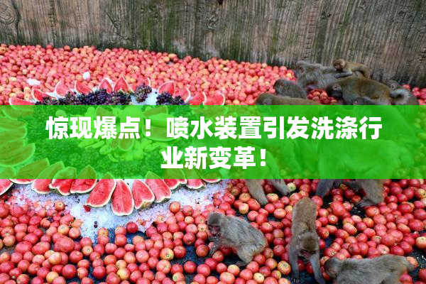 惊现爆点！喷水装置引发洗涤行业新变革！