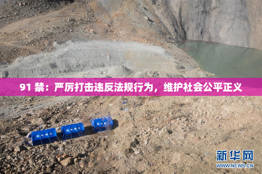 91 禁：严厉打击违反法规行为，维护社会公平正义