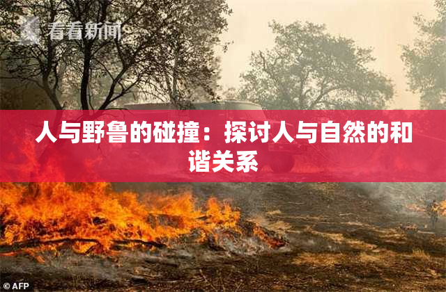 人与野鲁的碰撞：探讨人与自然的和谐关系