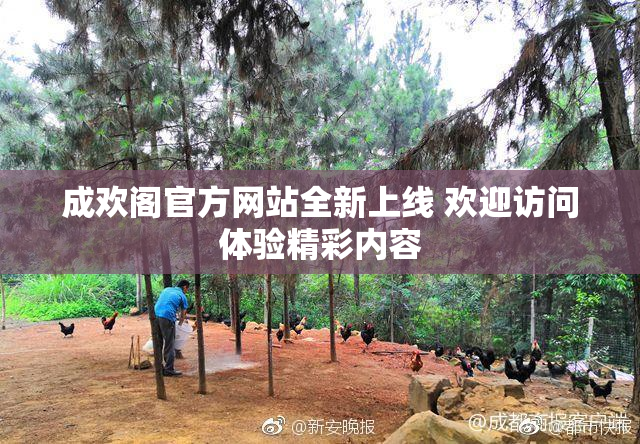 成欢阁官方网站全新上线 欢迎访问体验精彩内容