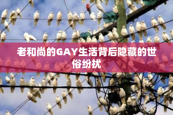 老和尚的GAY生活背后隐藏的世俗纷扰