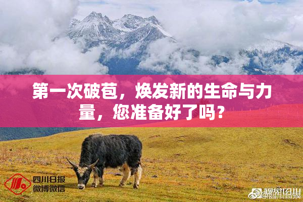 第一次破苞，焕发新的生命与力量，您准备好了吗？