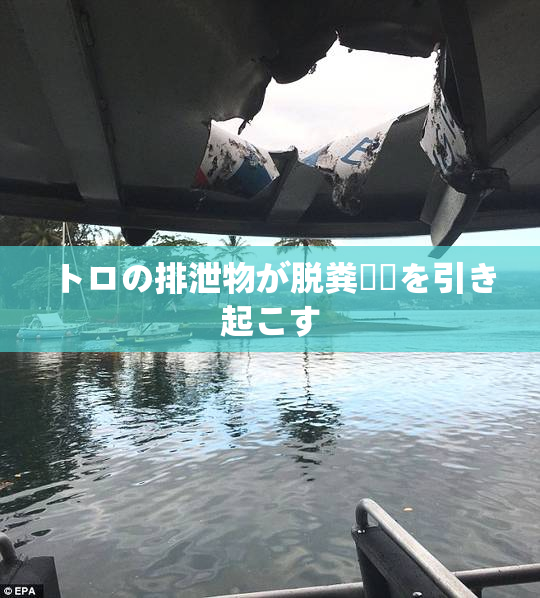 トロの排泄物が脱粪問題を引き起こす