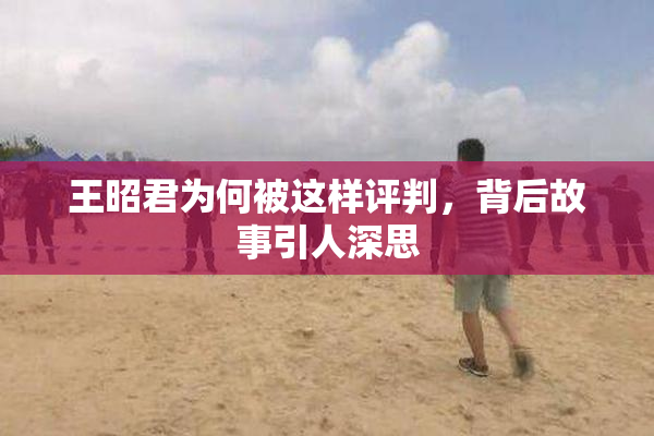 王昭君为何被这样评判，背后故事引人深思