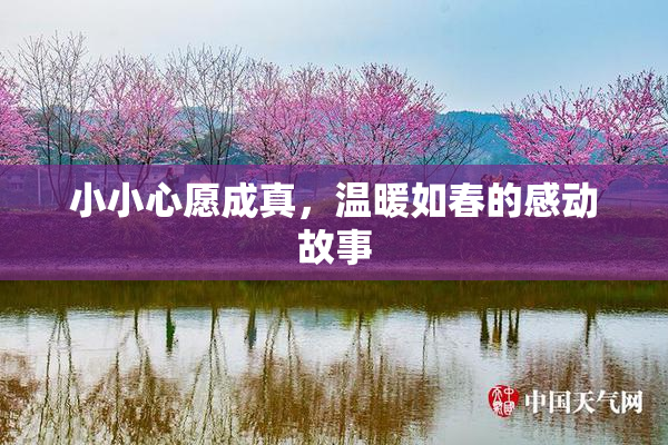 小小心愿成真，温暖如春的感动故事