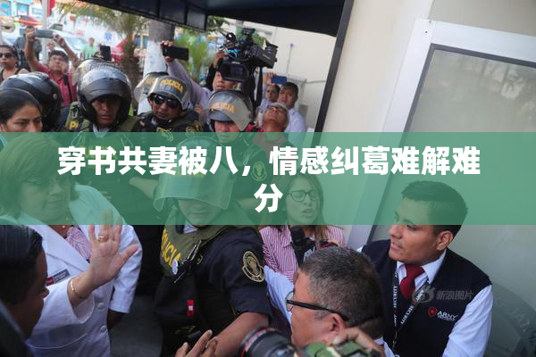 穿书共妻被八，情感纠葛难解难分