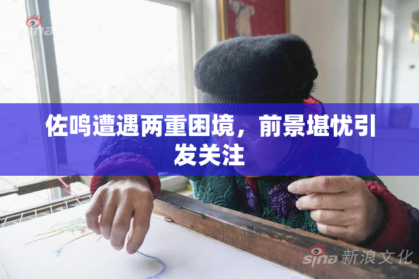 佐鸣遭遇两重困境，前景堪忧引发关注