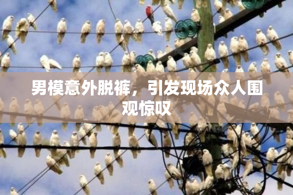 男模意外脱裤，引发现场众人围观惊叹