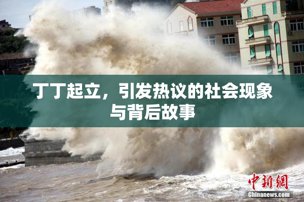 丁丁起立，引发热议的社会现象与背后故事