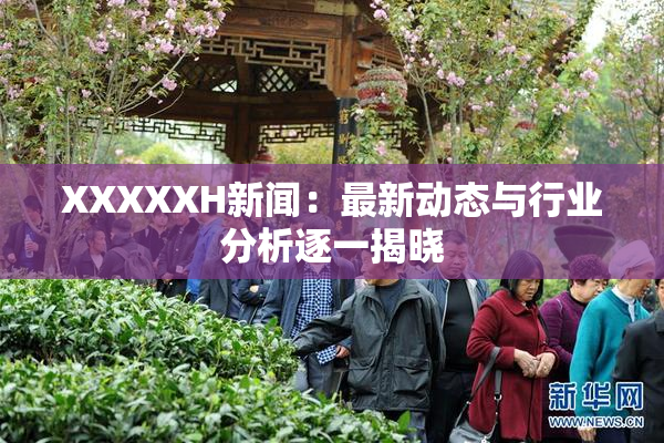 XXXXXH新闻：最新动态与行业分析逐一揭晓