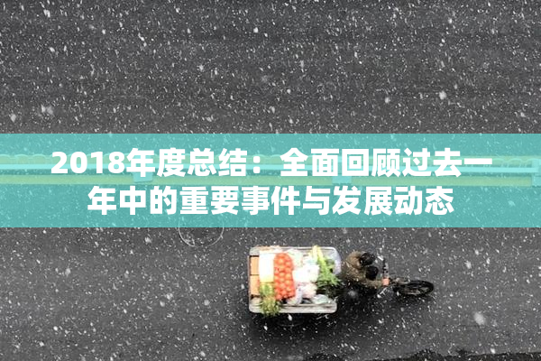 2018年度总结：全面回顾过去一年中的重要事件与发展动态
