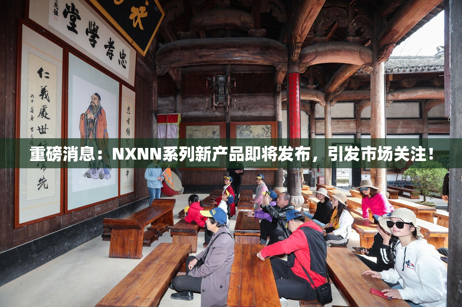 重磅消息：NXNN系列新产品即将发布，引发市场关注！