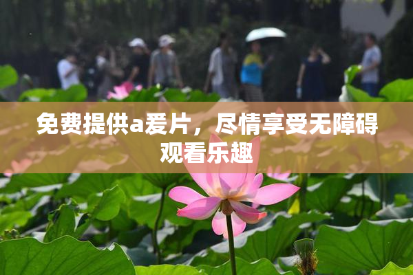 免费提供a爰片，尽情享受无障碍观看乐趣