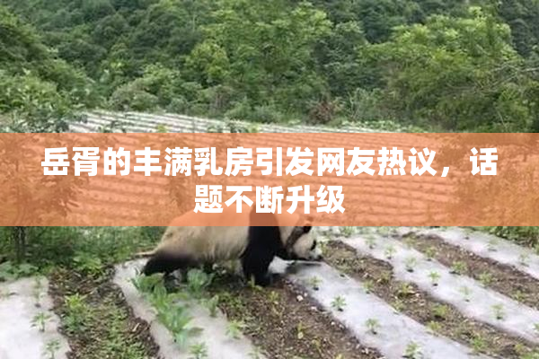 岳胥的丰满乳房引发网友热议，话题不断升级