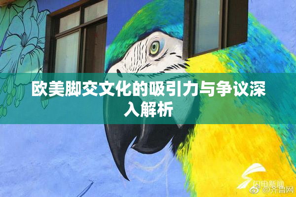 欧美脚交文化的吸引力与争议深入解析