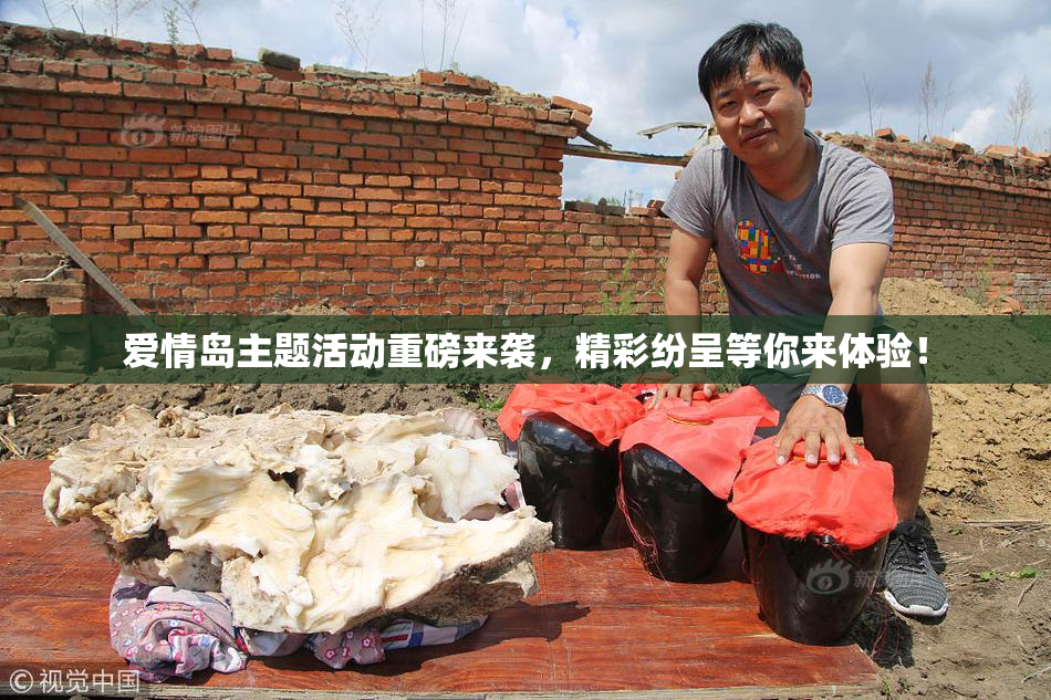 爱情岛主题活动重磅来袭，精彩纷呈等你来体验！