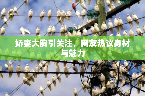 娇妻大胸引关注，网友热议身材与魅力